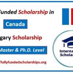 University of Calgary Fully Funded Scholarship for 2024
